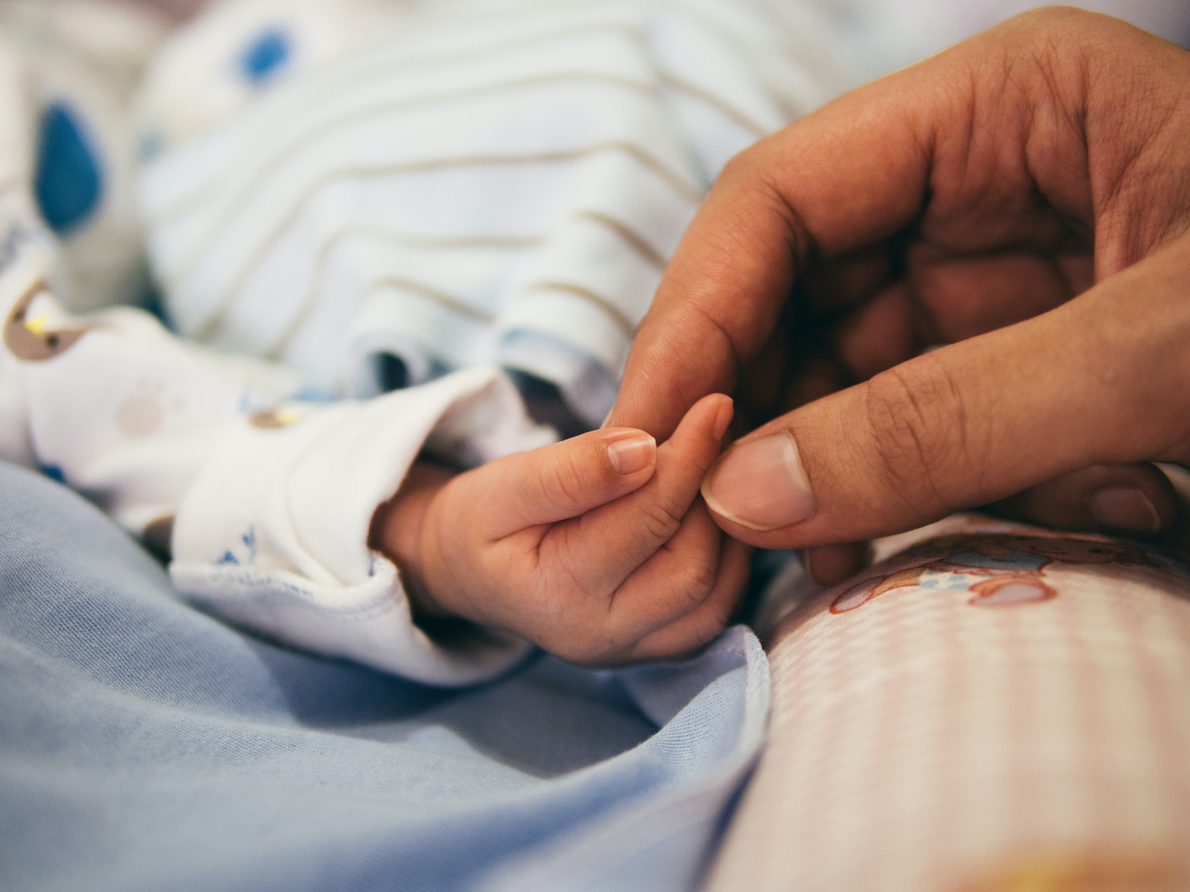 person holding the hand of a newborn infant