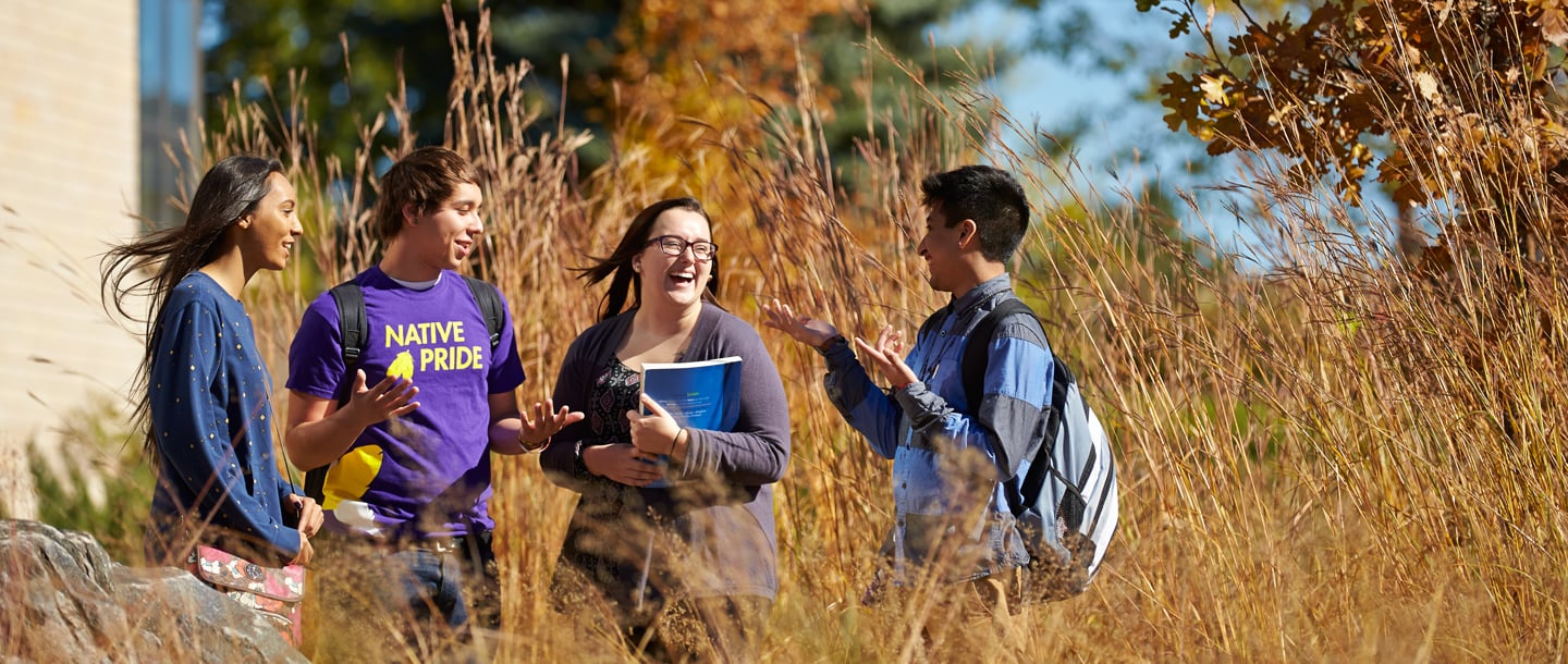 Four students enjoying conversation in a farm field