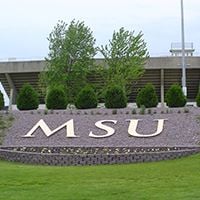 The MSU Mound or the "Berm" located outside at the intersection of Warren Street and Stadium Road on the corner of Blakeslee Stadium