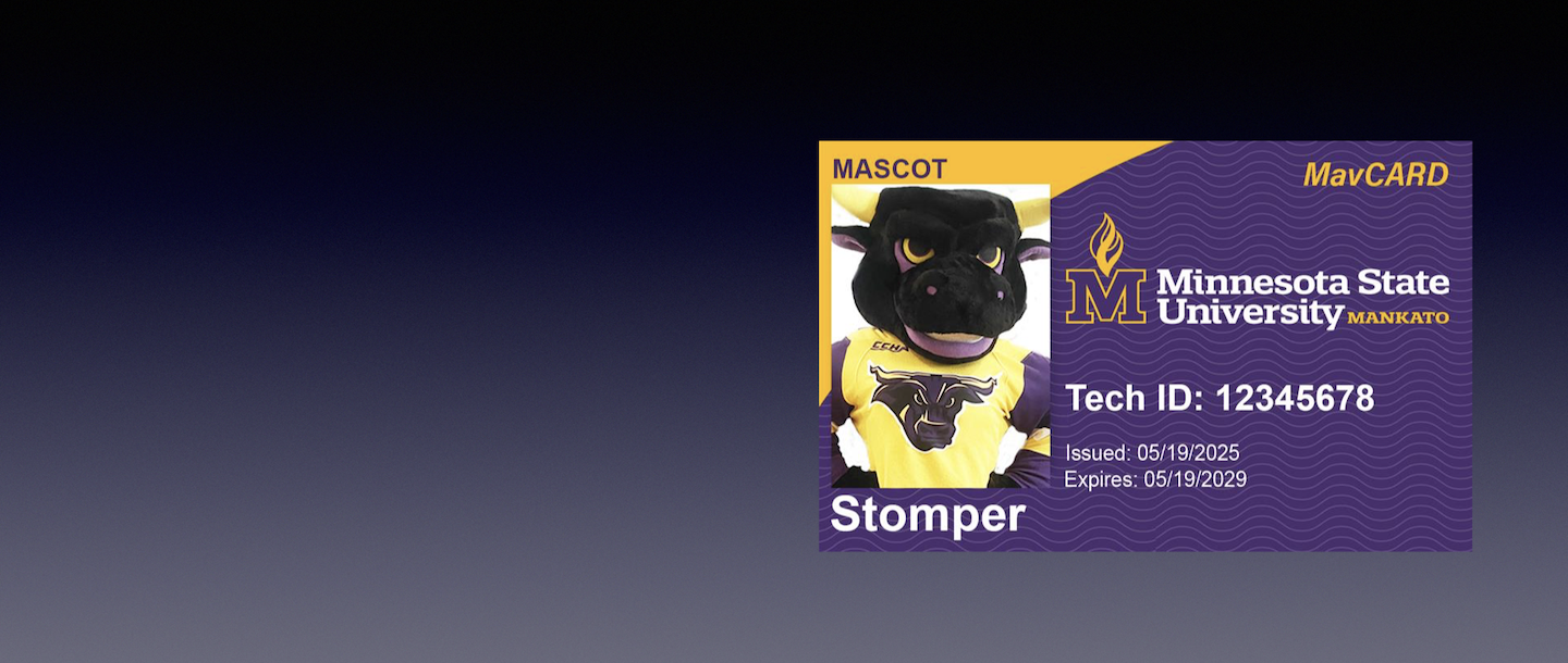 MavCARD front side of card. New Look as of Spring Semester 2025. Stomper photo along with the MSU logo, Tech ID, Stomper name and issued and expired dates.