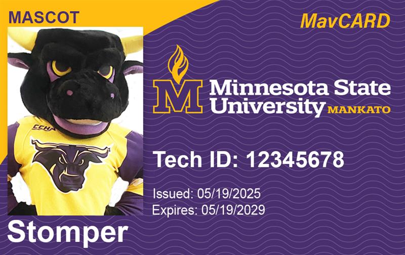 MavCARD front side of card. New Look as of Spring Semester 2025. Stomper photo along with the MSU logo, Tech ID, Stomper name and issued and expired dates.