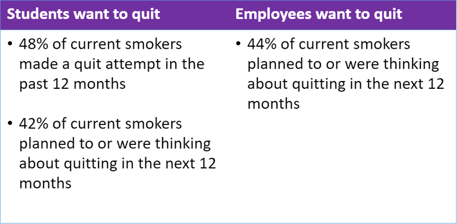 Cessation culture at Minnesota State Mankato showing the percentage of students and employees that want to quite smoking