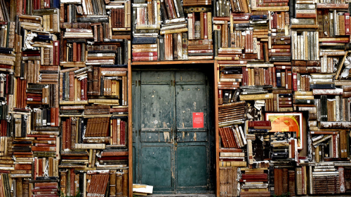 a door with books on it