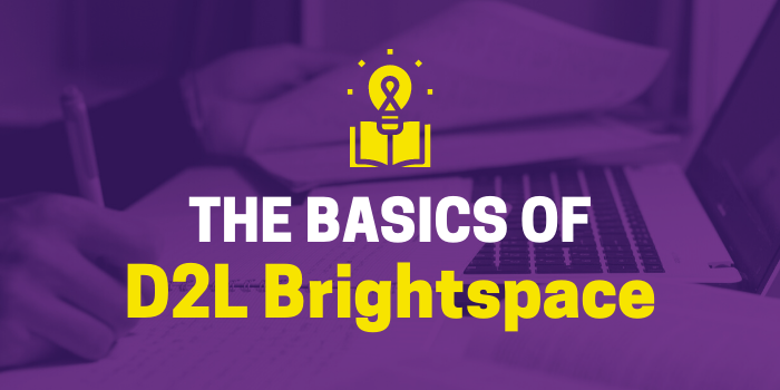 Student flipping through notebook and using laptop, lightbulb icon, and text that says "the basics of D2L Brightspace"