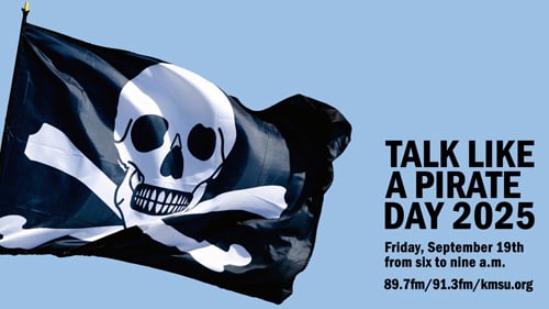 a flag with a skull and crossbones on it