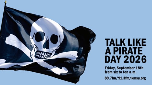 a flag with a skull and crossbones on it