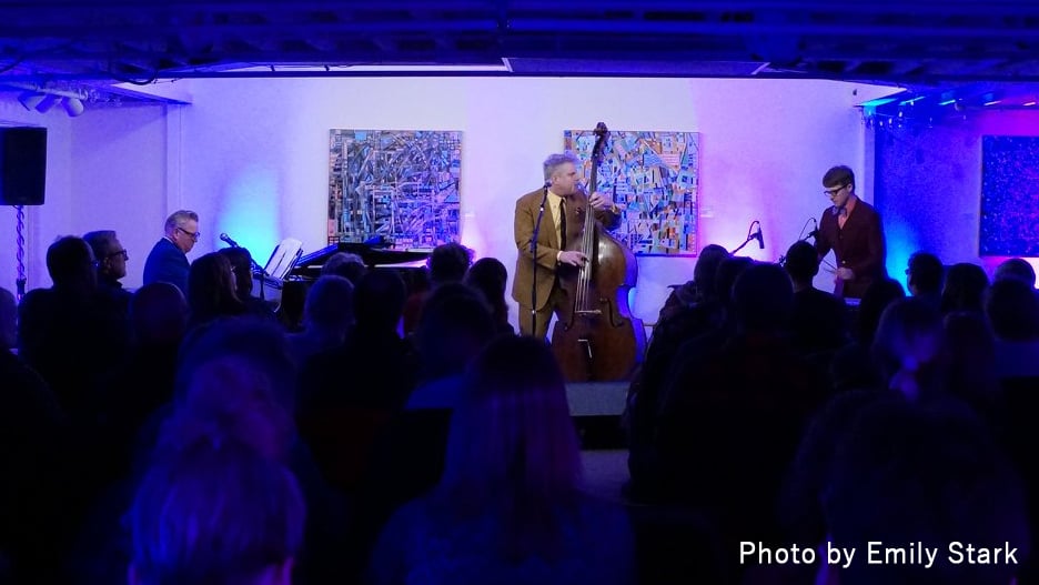 a person playing a double bass in front of a crowd