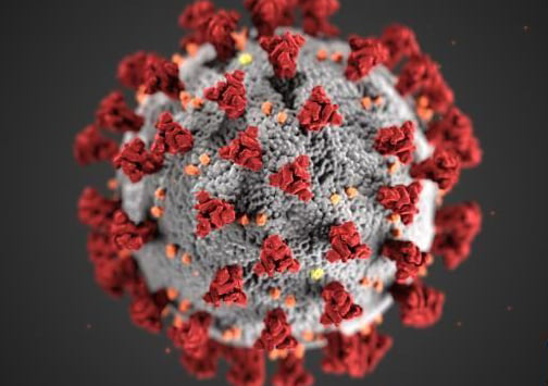 a close up of a virus