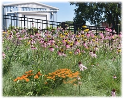 Flower garden with purple and orange flowers in front of a fence and a small blue building