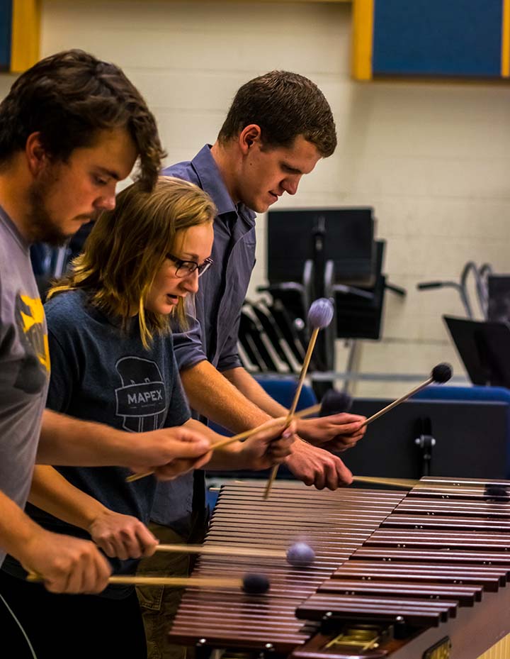 a group of people playing xylophone