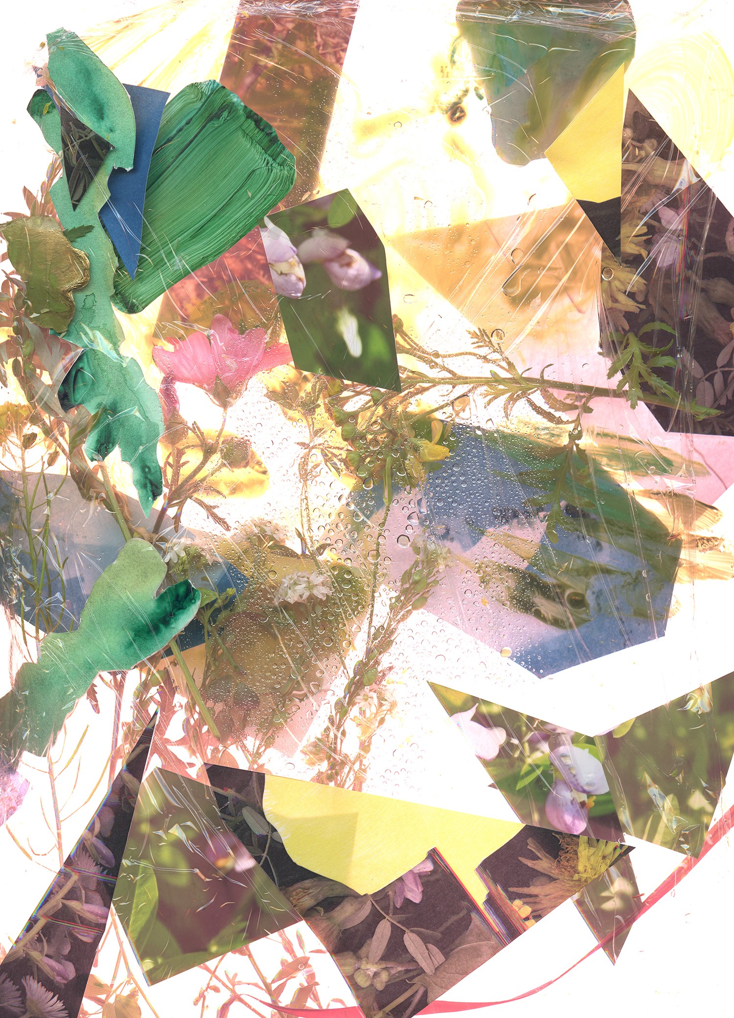 a close up of a collage of photos